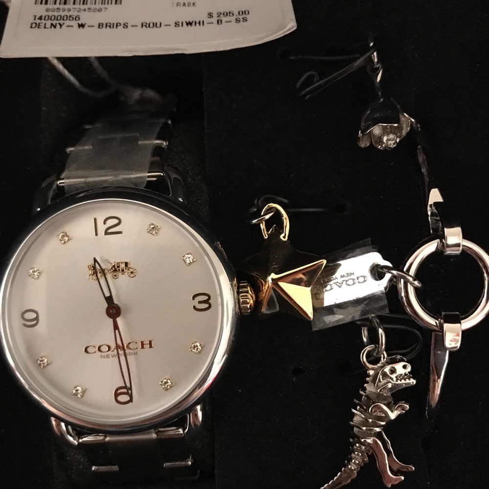 Coach watch